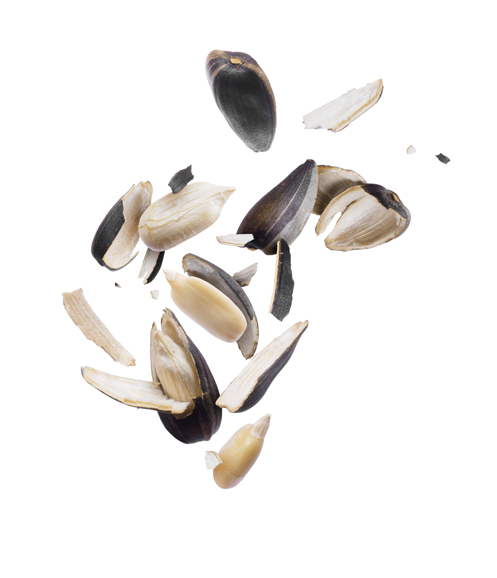 shutterstock_1129637402
